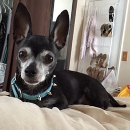 My lil chi Maddox