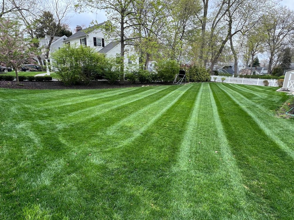 Romero Brothers - tree service in Morristown, NJ