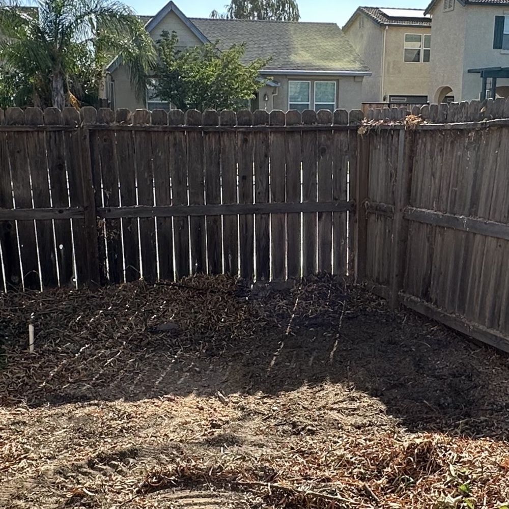 American Tree Service - Backyard area after Brazilian pepper tree removal and stump grind below grade. - Tree Services Near Me