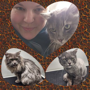 Pawsitive Pet Grooming - Pet Groomers Near Me - Chesapeake, Virginia Pawsitive Pet Grooming - Pet Groomers Near Me - Chesapeake, Virginia