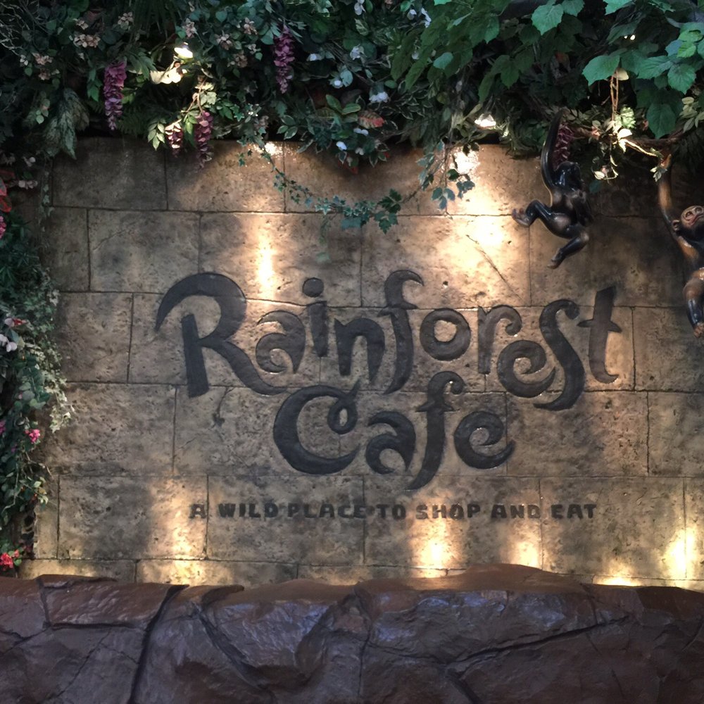 Rainforest Cafe - American Near Me - Katy, Texas
