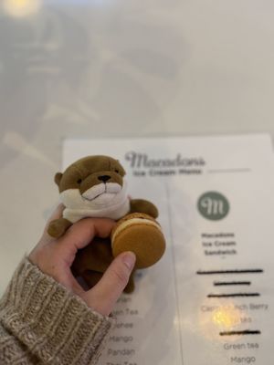 Macadons Cafe Renton by null