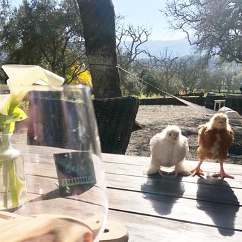 BELTANE RANCH - Updated October 2025 - 205 Photos & 93 Reviews - 11775 ...