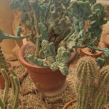 Moorten Botanical Garden - Nurseries & Gardening Near Me - Palm Springs, California Moorten Botanical Garden - Nurseries & Gardening Near Me - Palm Springs, California
