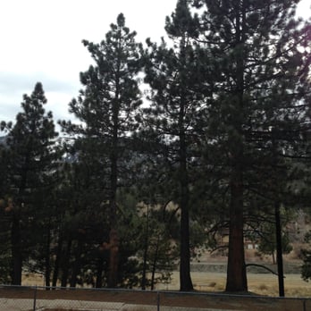 Mountain View Cabins - view from cabin 3 - Hotels Near Me - Wrightwood, California