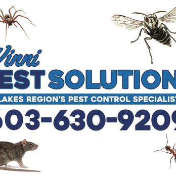 Winni Pest Solutions - Pest Control Near Me