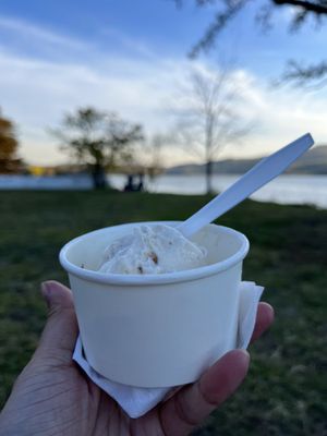 Moo Moo's Creamery - The World’s Best Ice Cream Shop by null