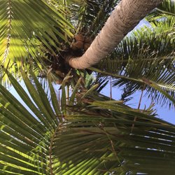 Pandan Island Resort - View from my hammock. I can get used to this.