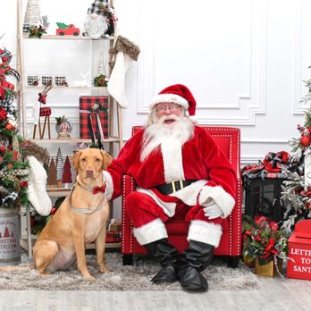 Photopia Studios - Photopia holiday studio was absolutely stunning! - Event Photography Near Me - Cottonwood Heights, Utah