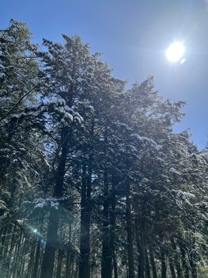 Chestnut Ridge Park by null