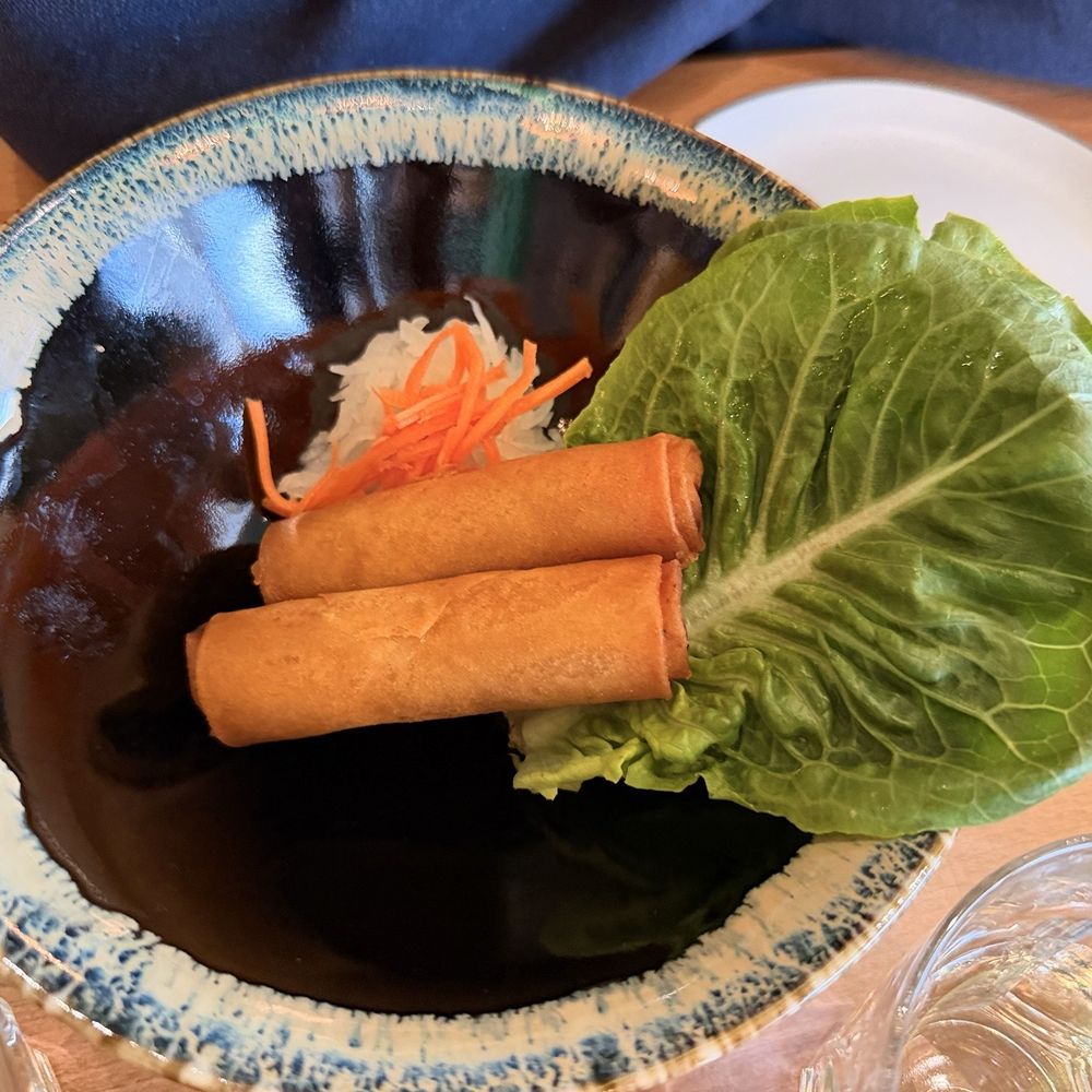 Chao Ban - Fried Spring Roll - Vietnamese Near Me - McLean, Virginia