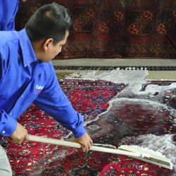 Photo of Hadeed Carpet - Alexandria, VA, US. Thorough cleaning with water, water, and more water. (Plus, light detergent.)