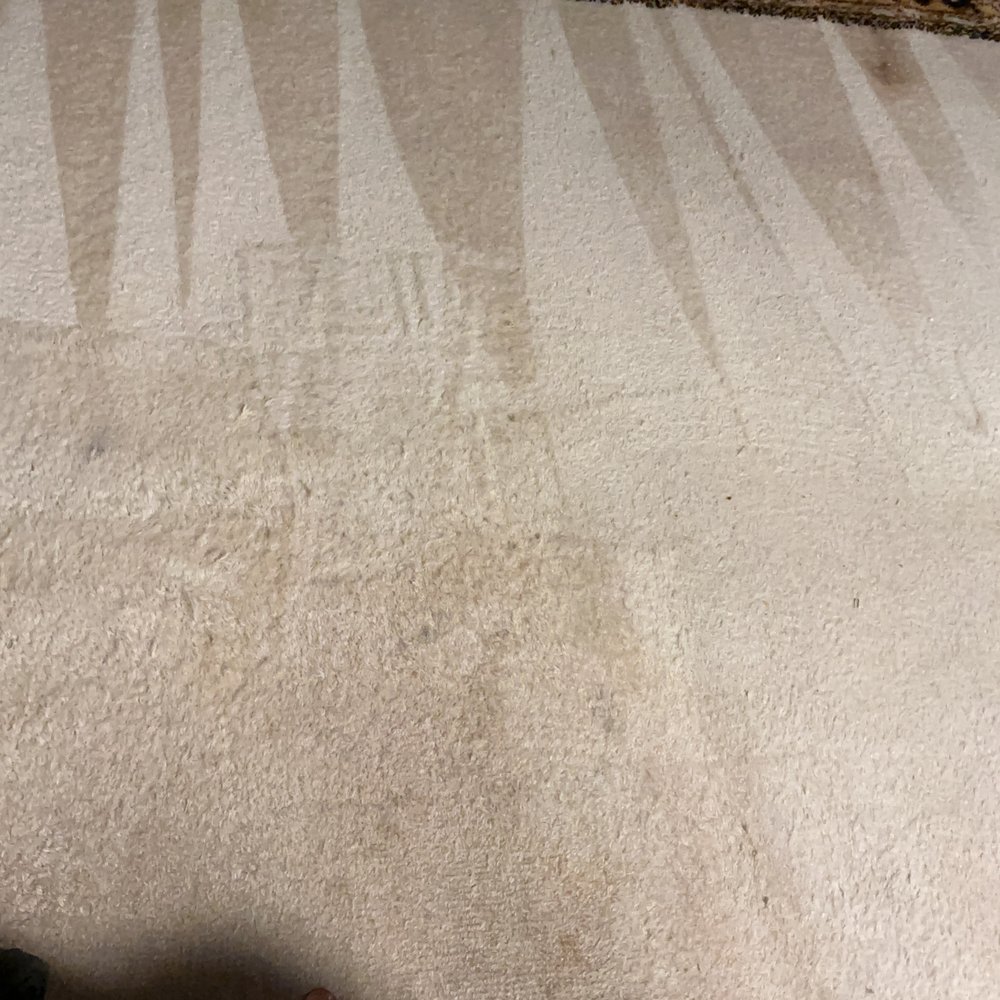 Duraclean Master Cleaners - Very bad cleaning. The carpet looks much worse than where they arrived. - Carpet Cleaning Near Me - Lowell, Massachusetts Duraclean Master Cleaners - Very bad cleaning. The carpet looks much worse than where they arrived. - Carpet Cleaning Near Me - Lowell, Massachusetts