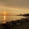 Myrtle Edwards Park gift card