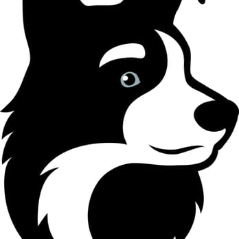 Woody's Pet Watch - Woody's Pet Watch! The best care when you're not there! - Dog Walkers Near Me Woody's Pet Watch - Woody's Pet Watch! The best care when you're not there! - Dog Walkers Near Me