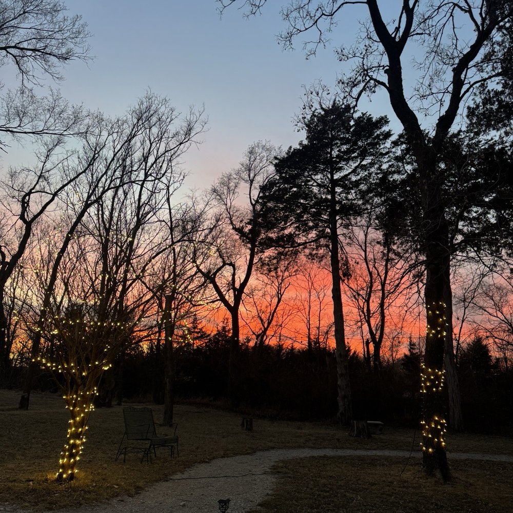 Deer Springs Winery - Wineries Near Me - Lincoln, Nebraska Deer Springs Winery - Wineries Near Me - Lincoln, Nebraska