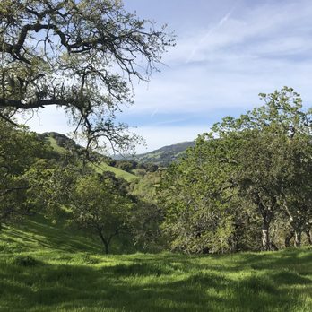 Harvey Bear County Park - Views from one of the picnic benches - Hiking Near Me - San Martin, California Harvey Bear County Park - Views from one of the picnic benches - Hiking Near Me - San Martin, California