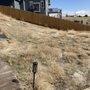 Photo of Rocky Mountain Lawn Care