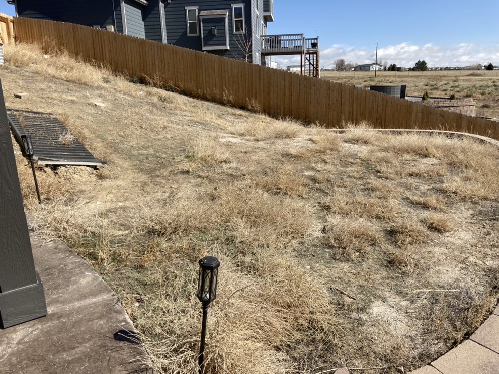 ROCKY MOUNTAIN LAWN CARE Updated September 2024 6361 Moate Ln