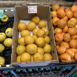 Mediterranean Grocery - Good fruits and veggies here