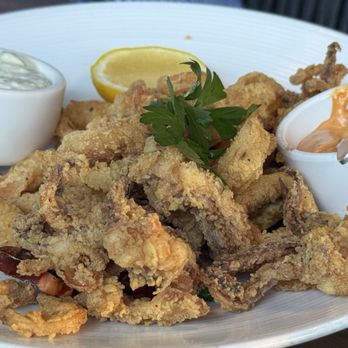 The Amalfi Llama - Calamari - Italian Near Me - San Diego, California The Amalfi Llama - Calamari - Italian Near Me - San Diego, California