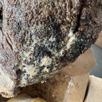 The Willo - Rib eye - Steakhouses Near Me - Nevada City, California