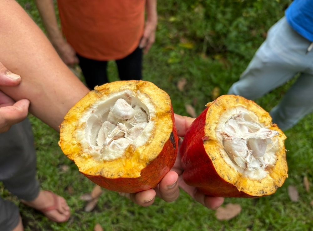 PINE VILLAGE SMALL FARM Updated August 2024 786919 Palekana Rd