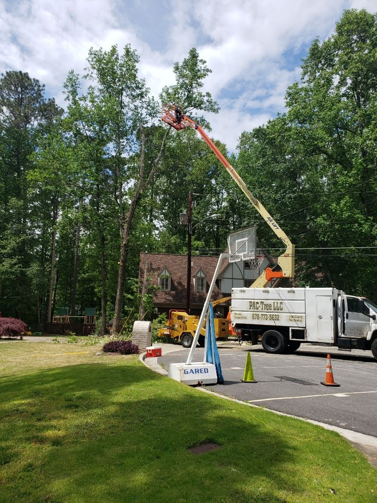 Pac-Tree - tree service in Grayson, GA