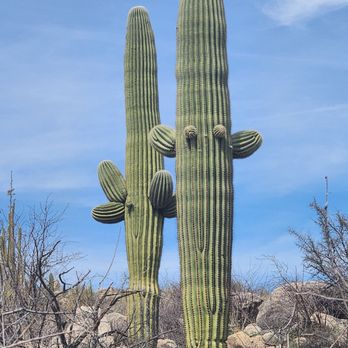 Catalina State Park - Parks Near Me - Tucson, Arizona Catalina State Park - Parks Near Me - Tucson, Arizona