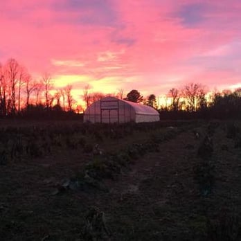 Owl's Nest Farm - a sunset over a greenhouse - Do-It-Yourself Food Near Me - Upper Marlboro, Maryland Owl's Nest Farm - a sunset over a greenhouse - Do-It-Yourself Food Near Me - Upper Marlboro, Maryland