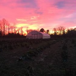 Owl's Nest Farm