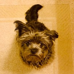 Our newest addition- Our newest addition-