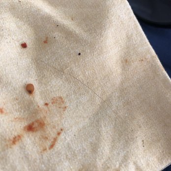 Sal de Riso - Hair in hamburger. Gross. Showed waiter the hair and he said "oh" and then walked away. - Ice Cream & Frozen Yogurt Near Me - Minori, SA Sal de Riso - Hair in hamburger. Gross. Showed waiter the hair and he said "oh" and then walked away. - Ice Cream & Frozen Yogurt Near Me - Minori, SA
