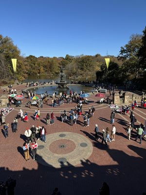 Bethesda Fountain by null