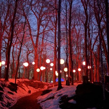 Astra Lumina - Festivals Near Me - Jenkintown, Pennsylvania Astra Lumina - Festivals Near Me - Jenkintown, Pennsylvania