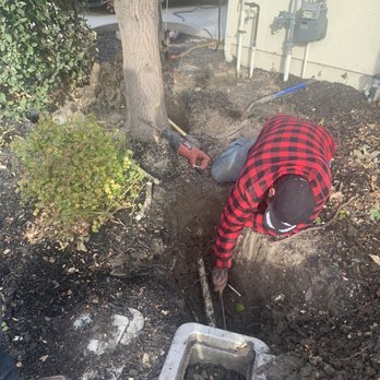 Discovery Homes - City water box, then the pvc pipe that runs straight underneath a tree planted by Discovery Homes that connects to our main water line. - Real Estate Services Near Me - Alamo, California Discovery Homes - City water box, then the pvc pipe that runs straight underneath a tree planted by Discovery Homes that connects to our main water line. - Real Estate Services Near Me - Alamo, California