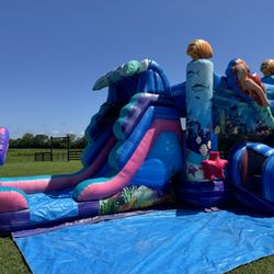 Bouncing Buddies