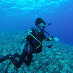 Lahaina Divers - Molokini Crater