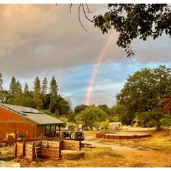 Willow Springs Lodge