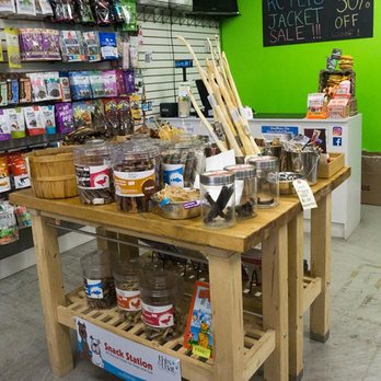 Discover Dogs - Dog Walkers Near Me - Vancouver, British Columbia