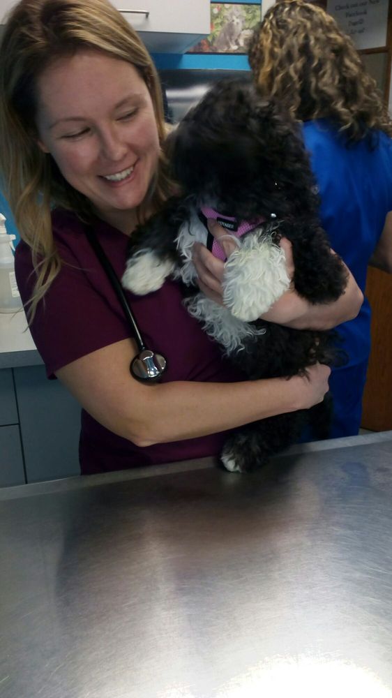 TRANSIT VALLEY ANIMAL HOSPITAL Updated August 2024 7591 Transit Rd