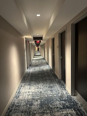 Renaissance Albany Hotel by null