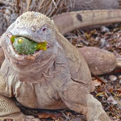 Courtney Regan Travel - Galapagos, Ecuador
