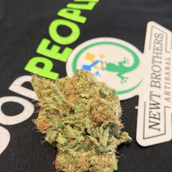 GoodPeople - WiFi OG