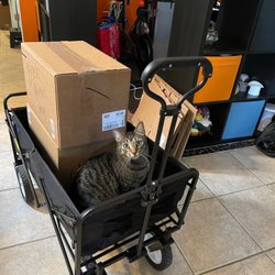 Happy Homes Moving