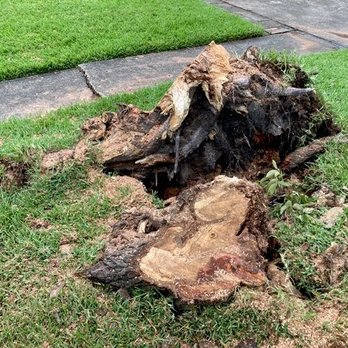 N2deep Stump Grinding and Removal - Tree Services Near Me - Porter, Texas N2deep Stump Grinding and Removal - Tree Services Near Me - Porter, Texas