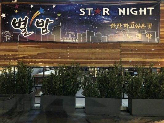 Star Night by null