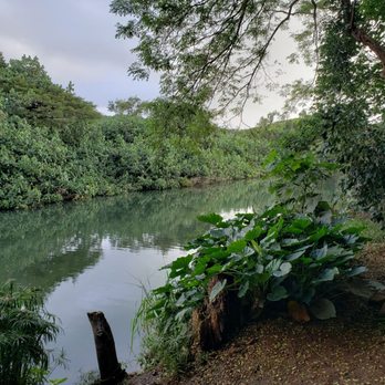 Kipu Ranch Adventures - Tours Near Me - Lihue, Hawaii Kipu Ranch Adventures - Tours Near Me - Lihue, Hawaii