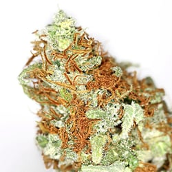 High End Market Place - Highest Quality Legal Weed: UW Strain at High End Market Place grown by Cannaman Farms