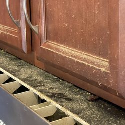 Not Just Dust